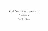 Buffer Management Policy TANG Xian. Outline Introduction Buffer management policy on disk Buffer management policy on flash Conclusion.