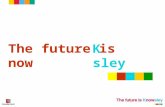 The future is now K sley. The Knowsley Programme Maire Gollock Programme Manager for Child Poverty Ian Carolan Project Manager for Child Poverty.