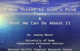 The Coconut Rhinoceros Beetle: A New Threat to Guam’s Palm Trees & What We Can Do About It Dr. Aubrey Moore University of Guam University of Guam Cooperative.