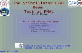 The Scintillator ECAL Beam Test at FNAL Adil Khan International Linear Collider Workshop 2010 LCWS10 & ILC10, Beijing, China CALICE Scintillator ECAL group.
