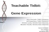 Teachable Tidbit: Gene Expression Venu Cheriyath, TAMU Commerce Jeff Kopachena, TAMU Commerce Christie Landry, Nicholls State University Michelle Thiaville,