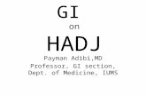 GI on HADJ Payman Adibi,MD Professor, GI section, Dept. of Medicine, IUMS.