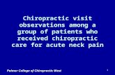 1 Chiropractic visit observations among a group of patients who received chiropractic care for acute neck pain.