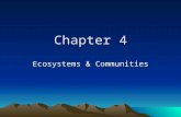 Chapter 4 Ecosystems & Communities. 4-1 Role of Climate I.What is Climate? A.Weather – day to day condition of Earth’s atmosphere at a particular time.