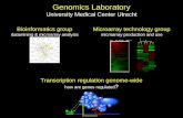 Genomics Laboratory University Medical Center Utrecht... Microarray technology group microarray production and use Transcription regulation genome-wide.