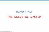 Copyright © 2010 Pearson Education, Inc. THE SKELETAL SYSTEM CHAPTER # 7(a)