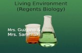 Living Environment (Regents Biology) Mrs. Guzzino & Mrs. Saramak.