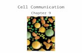 Cell Communication Chapter 9. Please note that due to differing operating systems, some animations will not appear until the presentation is viewed in.