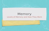 Memory Levels of Memory and How They Work. Memory Memory : Capacity to acquire, retain, and recall knowledge and skills.