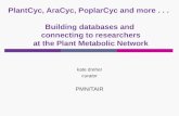 PlantCyc, AraCyc, PoplarCyc and more... Building databases and connecting to researchers at the Plant Metabolic Network kate dreher curator PMN/TAIR.