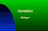 Genetics Biology I. Chromosomes Chromatid Centromere ↓