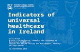 Indicators of universal healthcare in Ireland Sara Burke Project Co-ordinator: Mapping the Pathways to Universal Healthcare Centre for Health Policy and.