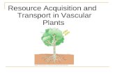 Resource Acquisition and Transport in Vascular Plants.