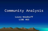 Community Analysis Laura Woodruff LIBE 463. “Effective collection development must be based on reliable knowledge about the collection’s users.” - Kay.