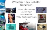 Western Rock Lobster Research Simon de Lestang Jason How Matt Pember WRL Technical Team & Industry.