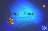 Ocean Animals Deanna Carsillo Seal Fish Octopus Sea Lion Shark Walrus Dolphin Whale Sea Turtle.