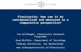 Flexicurity: how can it be conceptualised and measured in a comparative perspective? Ton Wilthagen, Flexicurity Research Programme Ruud Muffels, Department.