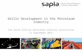 Skills Development in the Petroleum Industry The South African Petroleum Industry Association 11 September 2012.