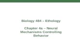 Biology 484 – Ethology Chapter 4a – Neural Mechanisms Controlling Behavior.