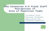 MSU Extension 4-H Field Staff Perceptions of Area of Expertise Teams Elizabeth Scott Doctoral Candidate Agriculture and Extension Education.