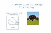 Introduction to Image Processing Grass Sky Tree ? ? Edge Detection and Sharpening.