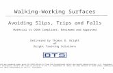 11 Walking-Working Surfaces Avoiding Slips, Trips and Falls Material is OSHA Compliant, Reviewed and Approved This material was produced under grant SH-19507-09-60-F-6.