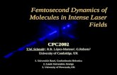 Femtosecond Dynamics of Molecules in Intense Laser Fields CPC2002 T.W. Schmidt 1, R.B. López-Martens 2, G.Roberts 3 University of Cambridge, UK 1. Universität.
