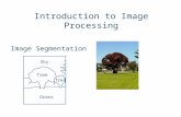Introduction to Image Processing Grass Sky Tree ? ? Image Segmentation.