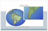 BY: TIM LUCZAK Chile. The Basics of Chile Chile is a long, narrow coastal strip in South America between the Andes Mountains to the east and the Pacific.
