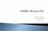 Ryan Kang Jeff Huynh Per. 5.  Virus  Subtype H5N1 influenza A strain  Usually unlikely to transfer from birds to humans  Human to Human infection.