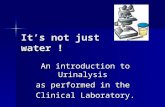 It ’ s not just water ! An introduction to Urinalysis as performed in the Clinical Laboratory.