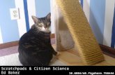 Scratchpads & Citizen Science Ed Baker 10.6084/m9.figshare.750444.