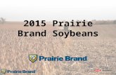 2015 Prairie Brand Soybeans. 0598R2 0.5 RM Grower plot top 3 finish F.I.R.S.T. top 20% yield – MN: Rothsay – ND: Thompson – Region Summary: RRCE Positioning.