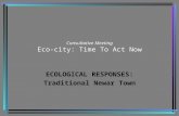 Consultative Meeting Eco-city: Time To Act Now ECOLOGICAL RESPONSES: Traditional Newar Town.