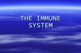 THE IMMUNE SYSTEM. VOCABULARY VOCABULARY  Pathogens = viruses, bacteria, microorganisms that cause disease.