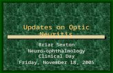 Updates on Optic Neuritis Briar Sexton Neuro-ophthalmology Clinical Day Friday, November 18, 2005.