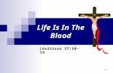1 Life Is In The Blood Leviticus 17:10-14. 2 10 And whatsoever man there be of the house of Israel, or of the strangers that sojourn among you, that eateth.