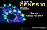 Chapter 1 Genes Are DNA. 1.1 Introduction chromosome – A discrete unit of the genome carrying many genes. –Each chromosome consists of a very long molecule.