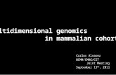 Carlos Alvarez BCMM/CMHG/CGT Joint Meeting September 15 th, 2011 Multidimensional genomics in mammalian cohorts in mammalian cohorts.