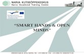 “SMART HANDS & OPEN MINDS”. Time and place Country, town: Sevilla, Spain Dates: 25.04 – 28.05 Field of training: Hotel service (housekeeping)