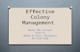 Effective Colony Management Mouse 101 Lecture 9/21/15 Wendy du Bois, Biologist NCI/CCR/LCBG.