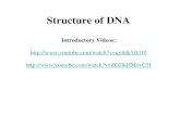 Structure of DNA Introductory Videos: http://www.youtube.com/watch?v=qy8dk5iS1f0 http://www.youtube.com/watch?v=ZGHkHMoyC5I http://www.youtube.com/watch?v=qy8dk5iS1f0.