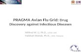 PRAGMA Avian Flu Grid: Drug Discovery against Infectious Diseases Wilfred W. Li, Ph.D., UCSD, USA Habibah Wahab, Ph.D., USM, Malaysia.