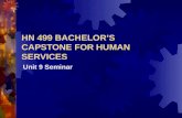 HN 499 BACHELOR’S CAPSTONE FOR HUMAN SERVICES Unit 9 Seminar.