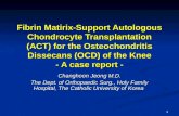 Fibrin Matirix-Support Autologous Chondrocyte Transplantation (ACT) for the Osteochondritis Dissecans (OCD) of the Knee - A case report - Changhoon Jeong.