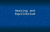 Hearing and Equilibrium. Outer Ear Auricle– “ear” shell- shaped, surrounds external opening to auditory canal Auricle– “ear” shell- shaped, surrounds.