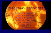 Euretina Meeting 2013 Hamburg Miles Stanford Medical Eye Unit St Thomas’ Hospital London Serpiginous choroiditis.