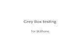 Grey Box testing Tor Stålhane. What is Grey Box testing Grey Box testing is testing done with limited knowledge of the internal of the system. Grey Box.