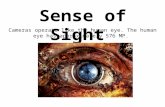 Sense of Sight Cameras operate like the human eye. The human eye has approximately 576 MP.