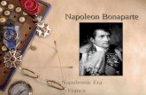 Napoleon Bonaparte The Napoleonic Era France. His Rise to Power  Military Reorganization – Room for Generals Used new military tactics to defeat the.